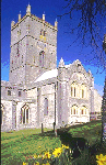 st-david